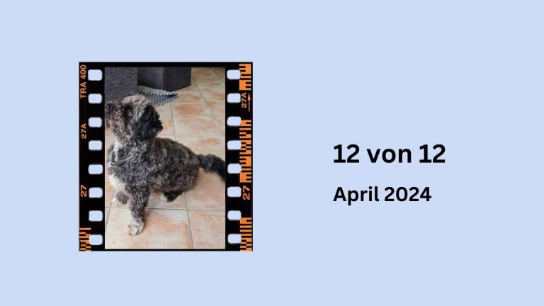 Titelbild Beitrag 12 von 12 im April 2024 Bild von unserem Hund als Negativ Streifen