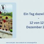 In 12 Fotos durch den 12ten Dezember 2025