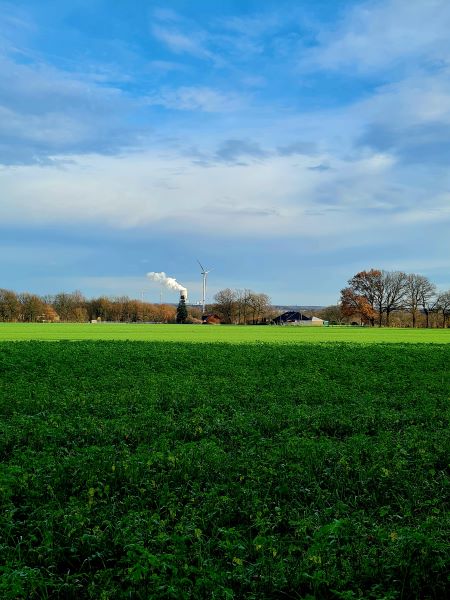 Dezembersonne am 12 von 12 Mittags