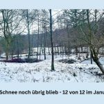 In 12 Fotos durch den 12 Januar 2026 - die beliebte Blogparade. Heute mit dem letzten Rest vom Schnee