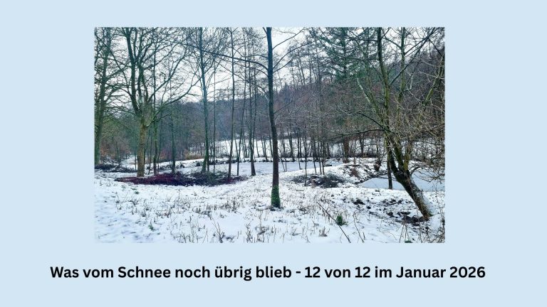 In 12 Fotos durch den 12 Januar 2026 - die beliebte Blogparade. Heute mit dem letzten Rest vom Schnee