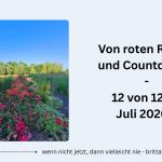 In 12 Bildern durch den Tag - die beliebte Blogparade am 12. Juli 2026