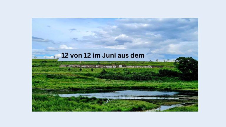 Foto Emscherauen mit Text 12 von 12 Juni aus dem Emscherland