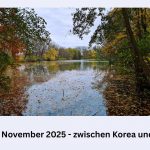12 von 12 November 2025 - die Blogparade. In 12 Fotos durch den Tag, zwischen Korea und Dorfteich