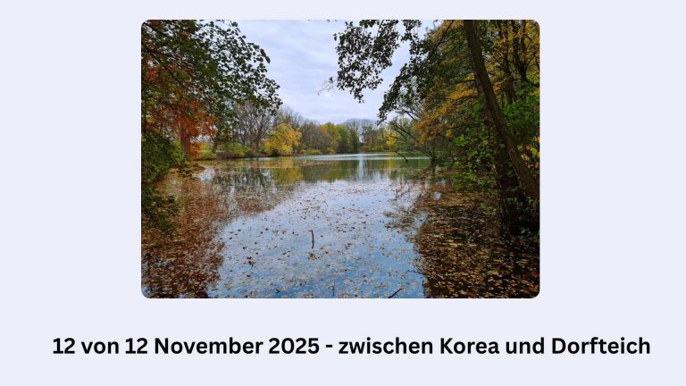 12 von 12 November 2025 - die Blogparade. In 12 Fotos durch den Tag, zwischen Korea und Dorfteich