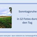 12 von 12 im Oktober 2025 - die beliebte Blogparade - begleitet mich in 12 Fotos durch den Tag