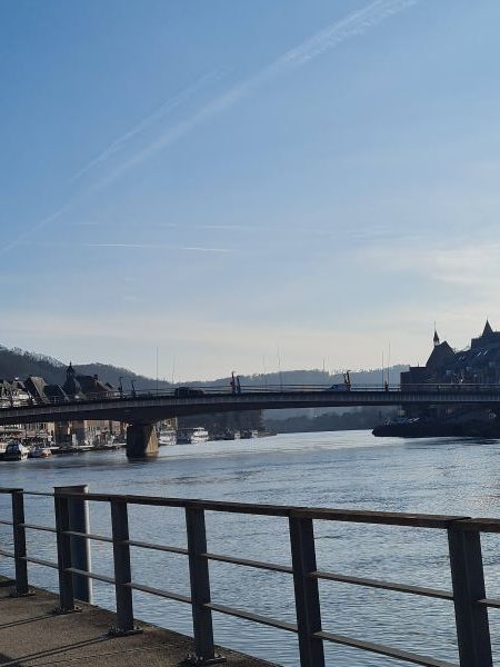 Blick von der Croisette in Dinant