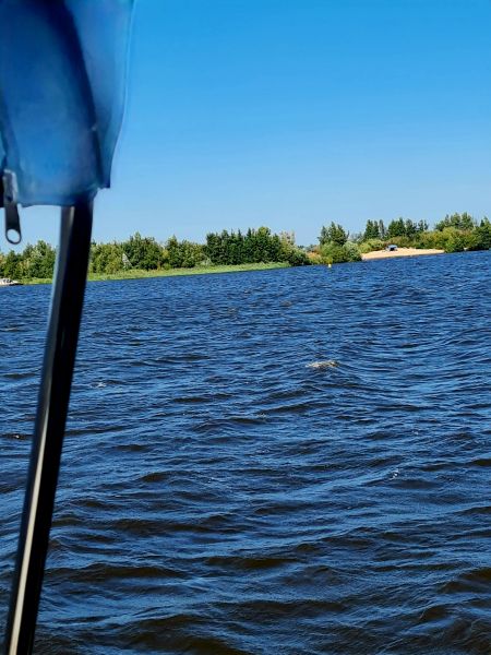 Marrekrite Insel im Tjeuker Meer
