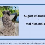 Monatsrückblick August - so war unser Monat. Aufregend, spannend und voller unerwarteter Job-Tests