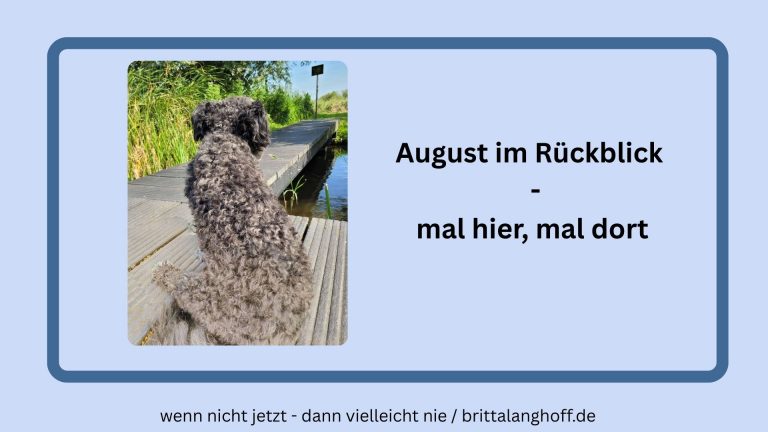 Monatsrückblick August - so war unser Monat. Aufregend, spannend und voller unerwarteter Job-Tests