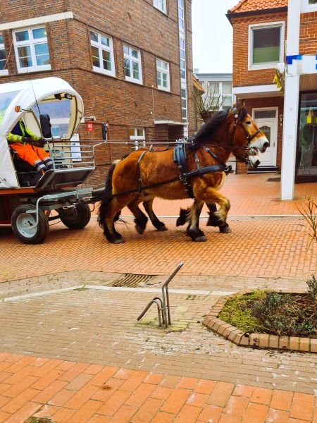 Pferdekutsche auf Juist 