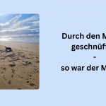 Wir haben uns durch den Monat geschnüffelt - lest hier den Monatsrückblick März 2026