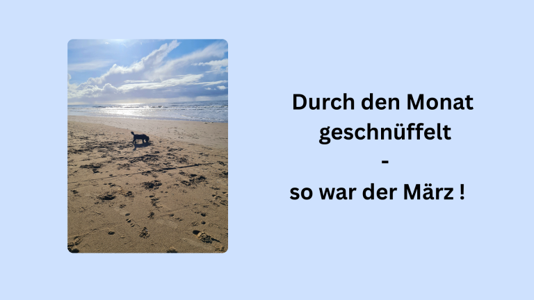 Wir haben uns durch den Monat geschnüffelt - lest hier den Monatsrückblick März 2026