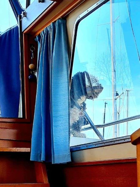 Hund schaut zurück , Spiegelung im Fenster zur Frage Was wird aus altem Blog