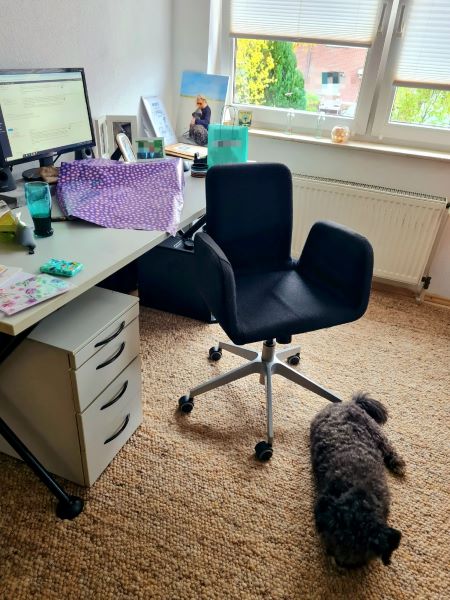 Bürostunde am 12 von 12 im Oktober 2025