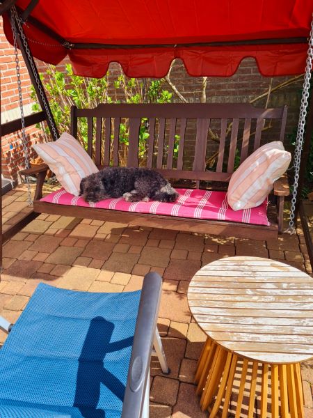 Mittagspause auf der Hollywoodschaukel 