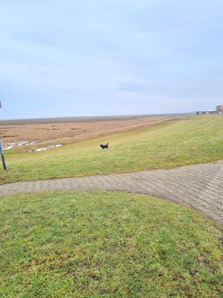 Blick auf das trockengefallene Wattenmeer Juist im Winter