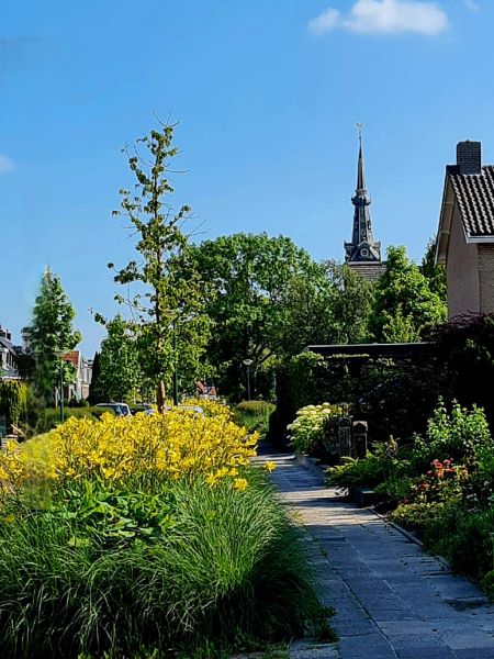 Das Leben auf dem Dorf - zwischen Blumenrabatten und Kirchtürmen 