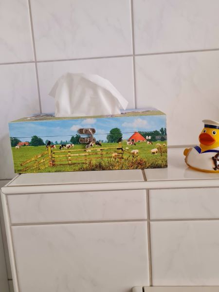 Taschentücher Box mit Friesland Motiv