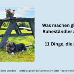Warum manche im Ruhestand aufblühen und andere hadern – und welche 11 Denkweisen, Gewohnheiten und Entscheidungen den wahren Unterschied machen