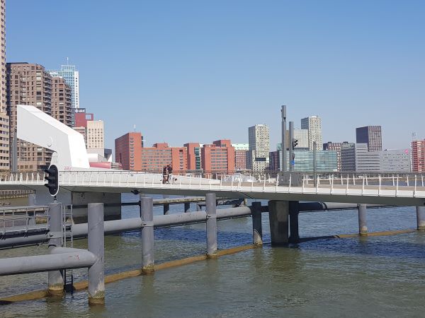 Leben in der Großstadt - hier Rotterdam 