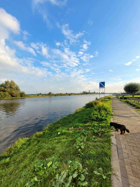 Grou Promenade Prinses Margrit Kanal im Herbst