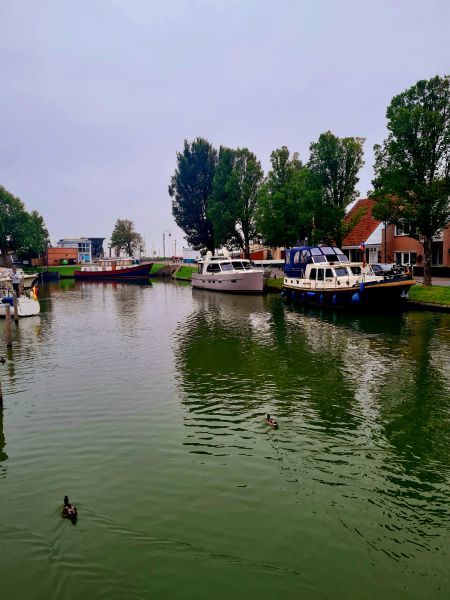 Ein Tag im Jahr - Ausblick auf Hafen Stavoren