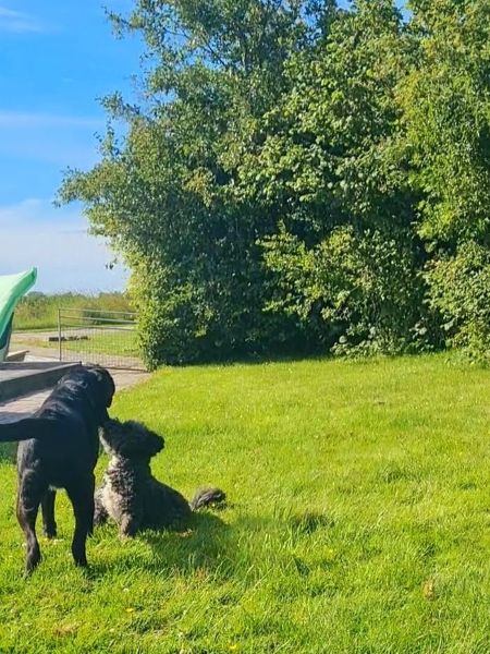 Hundstage - Hitzewelle Rückblick Juni 2026