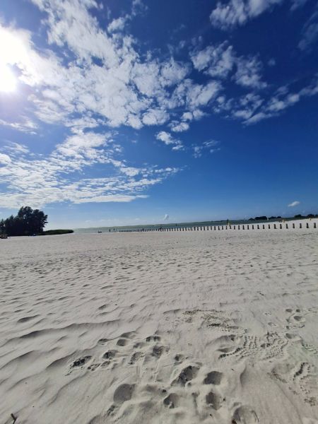 Rückblick August 2026 Heiße Tage Ijsselmeerstrand 