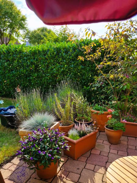 Kaffeepause auf Hollywoodschaukel