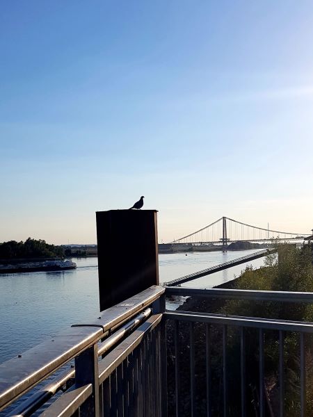 Kleinstadtleben - Fluss und Brücke sind die größte Attraktion