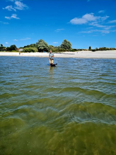 Ijsselmeer Rückblick August 2026
