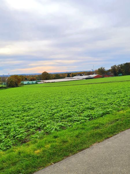 Recklinghausen ost Felder Ausblick