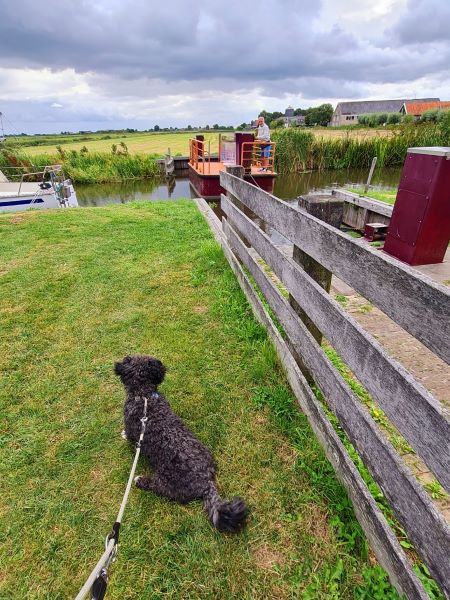 Handbetriebene Fußgänger Fähre in Friesland