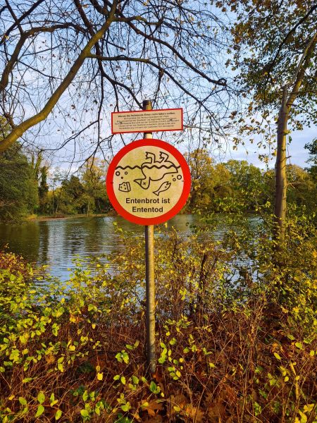 Schild am Dorfteich Entenbrot ist Ententod