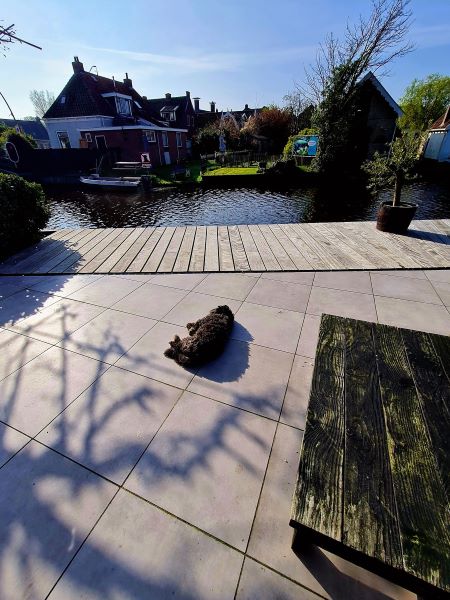 überraschender Genuss im Ruhestand: Jeden Moment auskosten