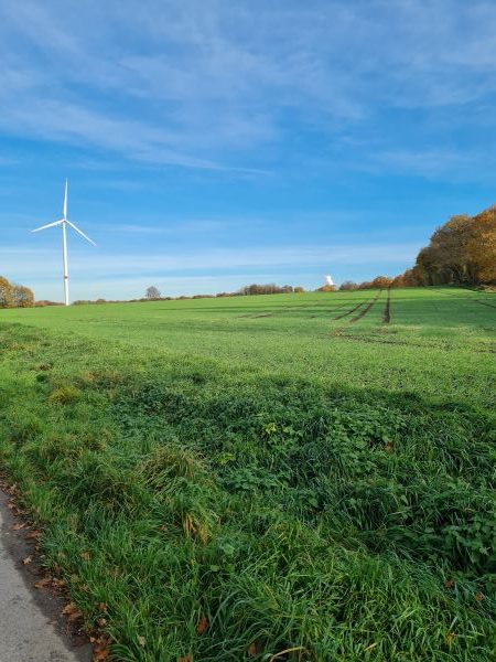 November im Ruhrgebiet erstaunlich sonnig 