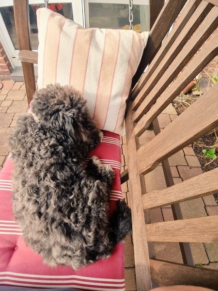 Rückblick März Lieblingsplatz Hollywoodschaukel