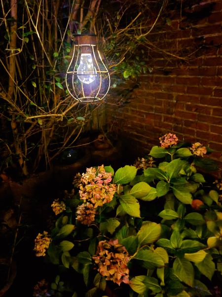 Solarlicht am Abend im September