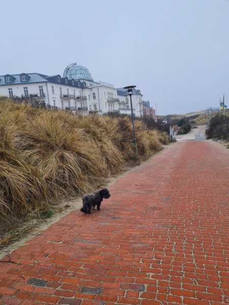 Nordseepromenade Juist 
