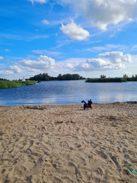 Strandspaziergang 12 August 