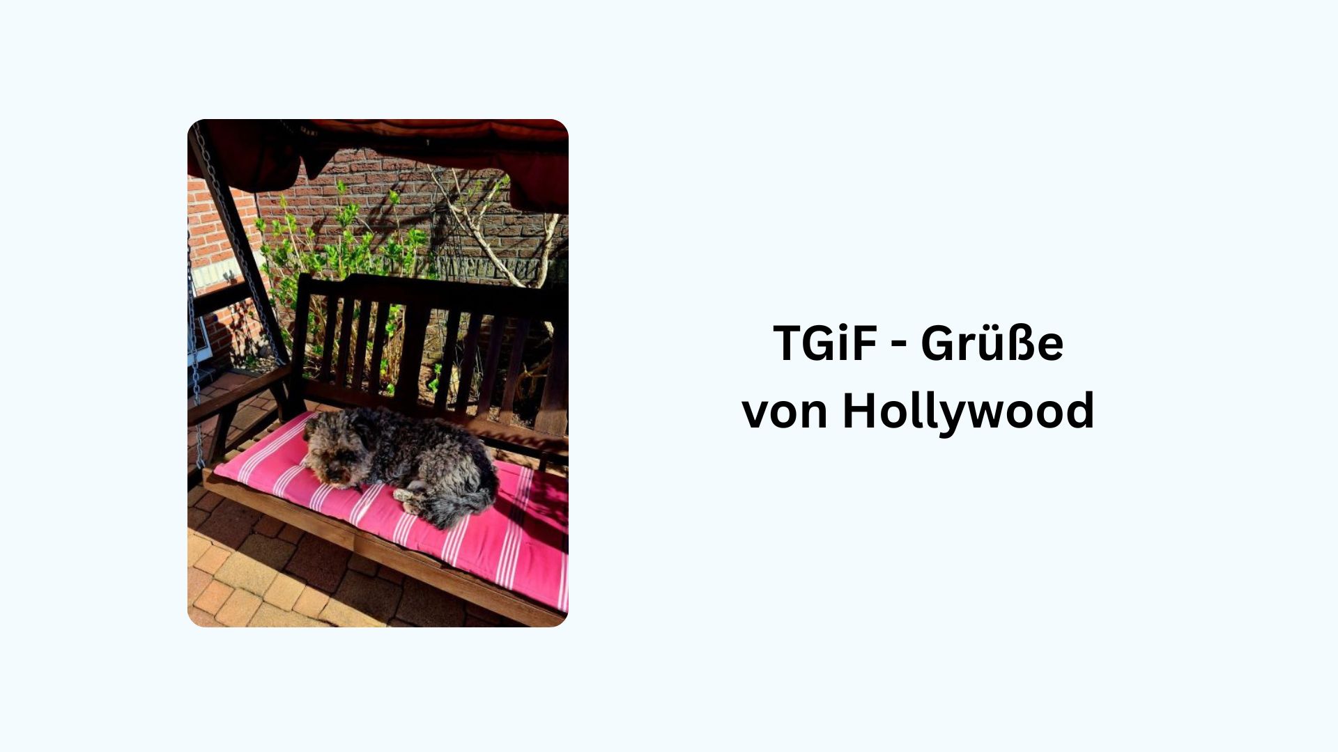 T.G.i.F. – Wasserstandsmeldung