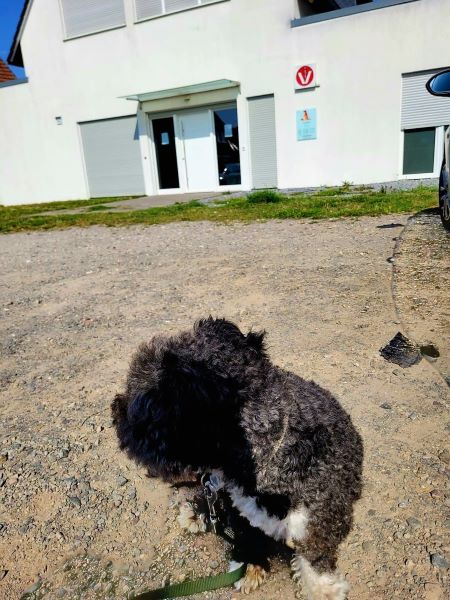 Vor der Tür des Tierarzts 