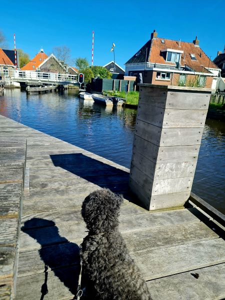 Am Kanal - Rückblick April 2026 