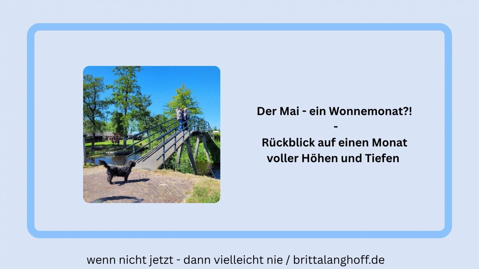 In diesem Blog-Artikel findet Ihr einen Rückblick auf den Wonnemonat Mai. Ein Monat voller Höhen und Tiefen
