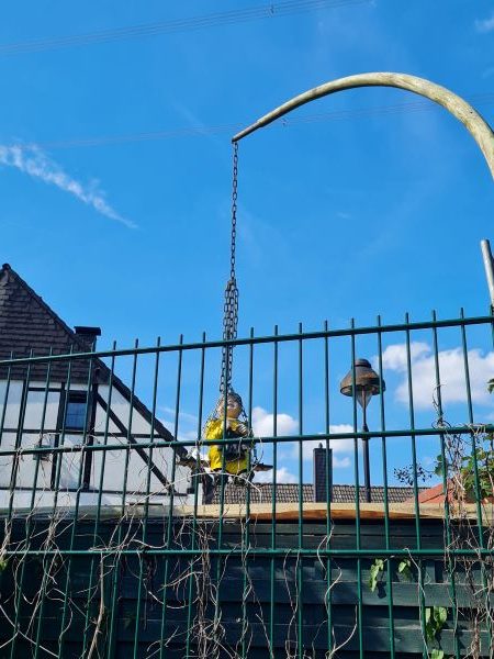 Entdeckung auf Fahrradtour, bergmann im Korb