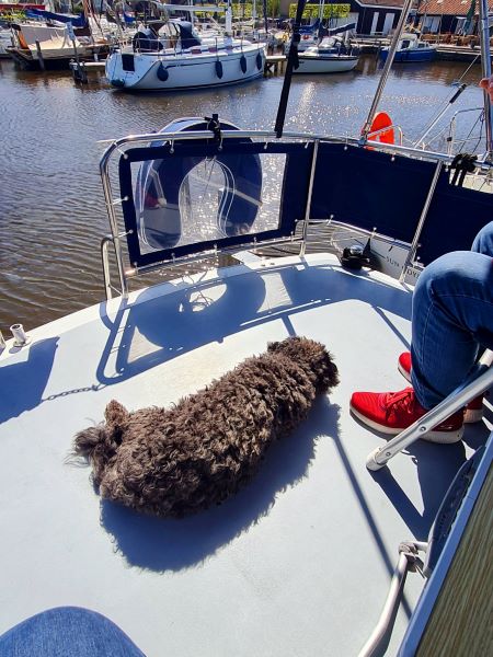 Sonnenstunde an Bord - Rückblick April 2026 