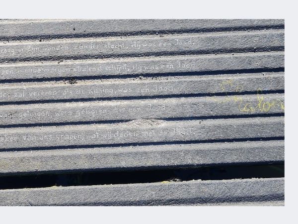 Ausschnitt aus dem Beitragsbild